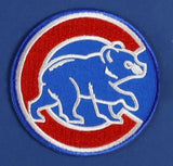 Ernie Banks Chicago Cubs 32"x 36" Framed Jersey w/ Cut Signed Display Card (PSA)
