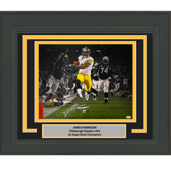 Framed Autographed/Signed James Harrison Steelers 16x20 Photo JSA COA #2