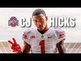 C. J Hicks Signed Ohio State Buckeyes Jersey (Playball Ink) 2023 Sophomore L.B.