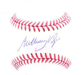 Anthony Volpe Autographed OML Baseball - Fanatics *Blue