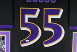 TERRELL SUGGS (Ravens black SKYLINE) Signed Autographed Framed Jersey JSA