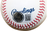 Don Mattingly Autographed New York Yankees OML Baseball Hit Man Beckett 55368