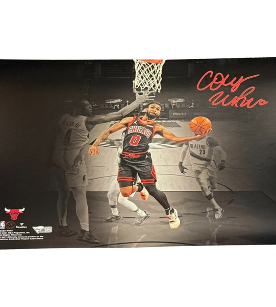 Coby White Autographed/Signed Chicago Bulls 11x14 Photo Fanatics 54386