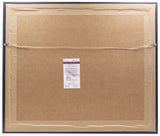 Dak Prescott Signed Framed 16x20 Dallas Cowboys Photo JSA ITP