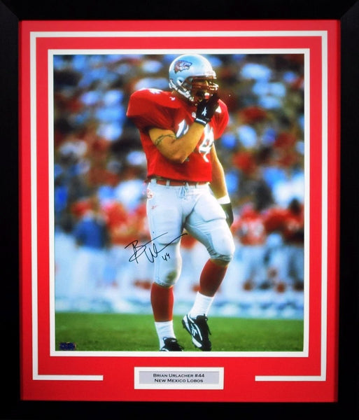 BRIAN URLACHER AUTOGRAPHED NEW MEXICO LOBOS 16x20 FRAMED PHOTO COA