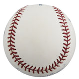 D-Backs Robby Hammock Authentic Signed OML Baseball Autographed BAS #BV01131