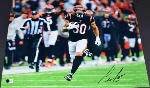 CHASE BROWN AUTOGRAPHED SIGNED CINCINNATI BENGALS 16x20 PHOTO BECKETT