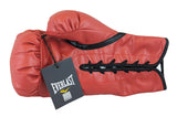 Lennox Lewis Authentic Signed Red Right Hand Everlast Glove W/ Case BAS Witness