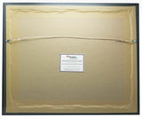 Aaron Nola Phillies Signed Framed 11x14 Spotlight Photo Fanatics