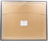 Tedy Bruschi Signed Framed 16x20 New England Patriots Photo Fanatics