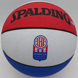 Julius Dr. J Erving Autographed Spalding ABA Basketball Nets Steiner Holo 233996