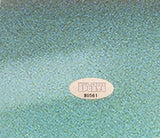 STEVE LARGENT AUTOGRAPHED 16X20 PHOTO SEATTLE SEAHAWKS "HOF 95" MCS HOLO 211090