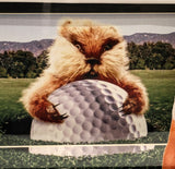 Chevy Chase Caddyshack Bushwood Golf Flag with Deluxe Lighted Frame - TRISTAR