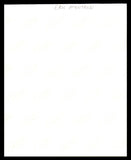 Eric Montross Autographed Signed 8x10 Photo Boston Celtics SKU #237781