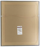 David Akers Signed Framed Philadelphia Eagles 16x20 Point Photo JSA ITP