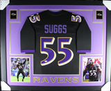 TERRELL SUGGS (Ravens black SKYLINE) Signed Autographed Framed Jersey JSA