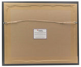 Kenny Golladay Lions Signed Framed 11x14 Spotlight Photo Fanatics