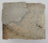 Notre Dame Fighting Irish Stadium Brick Steiner 139524