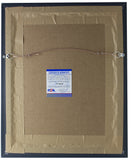 Allen Iverson Signed Framed 8x10 Philadelphia 76ers Step Over Photo PSA ITP