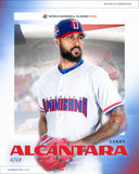 Sandy Alcantara Signed Dominican Republic Framed Jersey Display (JSA) Marlins