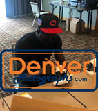 AJ Green Autographed Arizona Cardinals Lunar Speed Mini Helmet BAS 32071