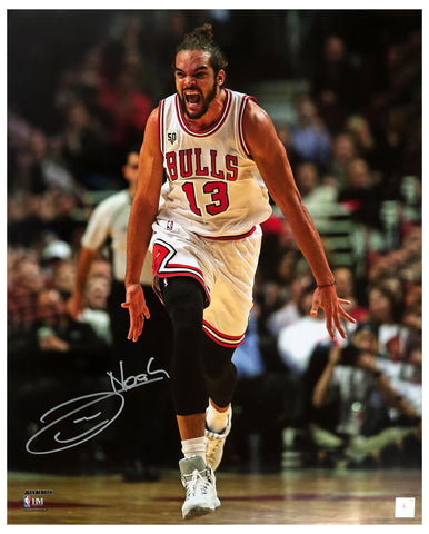 Joakim Noah Signed Bulls Running Action 16x20 Photo -(SCHWARTZ SPORTS COA)