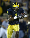 Braylon Edwards Signed Michigan Wolverines Pro-Cut Jersey (Beckett) Pro Bowl W.R