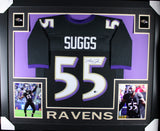 TERRELL SUGGS (Ravens black SKYLINE) Signed Autographed Framed Jersey Beckett
