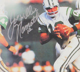 Joe Willie Namath Signed New York Jets Framed 12x13 NFL Artwork - LE 11 of 50