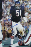 Dick Butkus HOF Signed/Auto 12x18 Photo Chicago Bears BAS/Beckett 198548