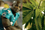 Ricky Williams Signed Miami Dolphins Custom Weed Print Jersey (Beckett) R.B.