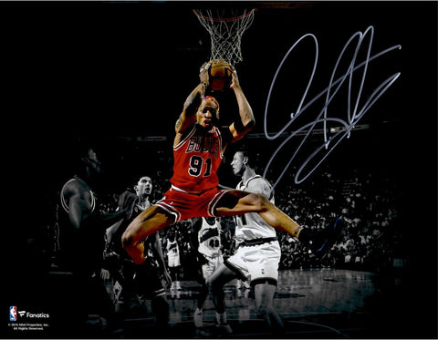 Dennis Rodman Chicago Bulls Autographed 11" x 14" Spotlight Rebound Photograph