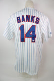 Ernie Banks Chicago Cubs Autographed Majestic Jersey JSA COA