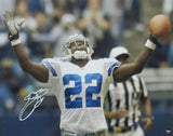 Emmitt Smith HOF Autographed 16x20 Photo Dallas Cowboys PROVA