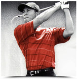 Michael Jordan Tiger Woods & Ali Signed "Legends of Sport" Platinum Litho UDA LE