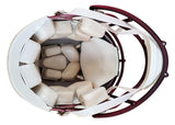 Commanders Terry McLaurin Signed Full Size Speed Proline Helmet BAS Witnessed