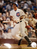 Moises Alou Signed Rawlings Big Stick Baseball Bat (JSA COA) Chicago Cubs / O.F.
