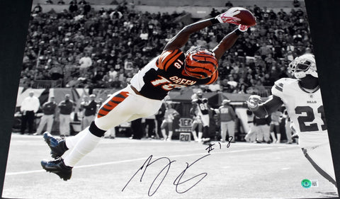 AJ GREEN AUTOGRAPHED SIGNED CINCINNATI BENGALS 16x20 PHOTO BECKETT