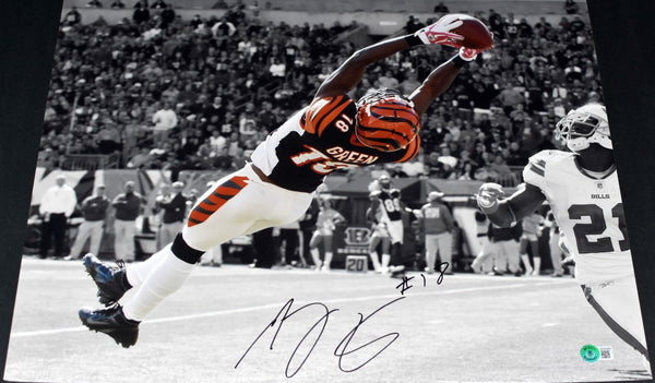AJ GREEN AUTOGRAPHED SIGNED CINCINNATI BENGALS 16x20 PHOTO BECKETT