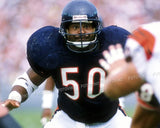 Mike Singletary Signed Chicago Bears Highlight Stat Jersey Inscribed HOF 98 JSA