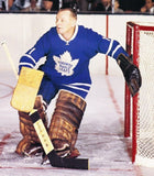 Felix Potvin Signed Toronto Maple Leafs Jersey "The Cat" (Premium Autographs)