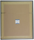 Ezekiel Elliott Signed Framed Dallas Cowboys 16x20 Photo BAS