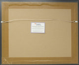 Ben Roethlisberger Pittsburgh Steelers Signed Framed 11x14 Photo Fanatics