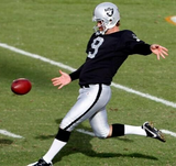 Shane Lechler Signed Oakland Raiders Jersey (JSA COA) Punter