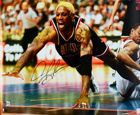Dennis Rodman Autographed Chicago Bulls 16x20 Diving Photo - Beckett W Hologram