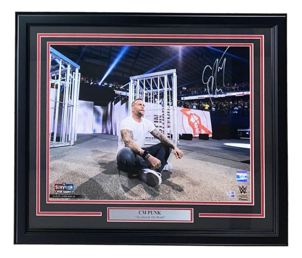CM Punk Signed Framed 16x20 WWE Return Photo Fanatics