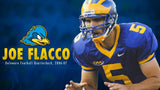 Joe Flacco Signed Delaware Fightin' Blue Hens Jersey (JSA COA) Super Bowl XLVII