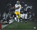 James Harrison Signed/Autographed 16x20 Photo Pittsburgh Steelers Beckett 195322