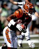 T.J. Houshmandzadeh Autographed 8x10 Photo Cincinnati Bengals JSA