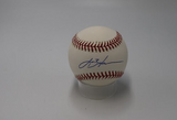 Lance Berkman Autographed Official Major League Baseball Tri-Star COA